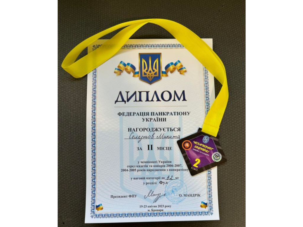 Спортивні досягнення